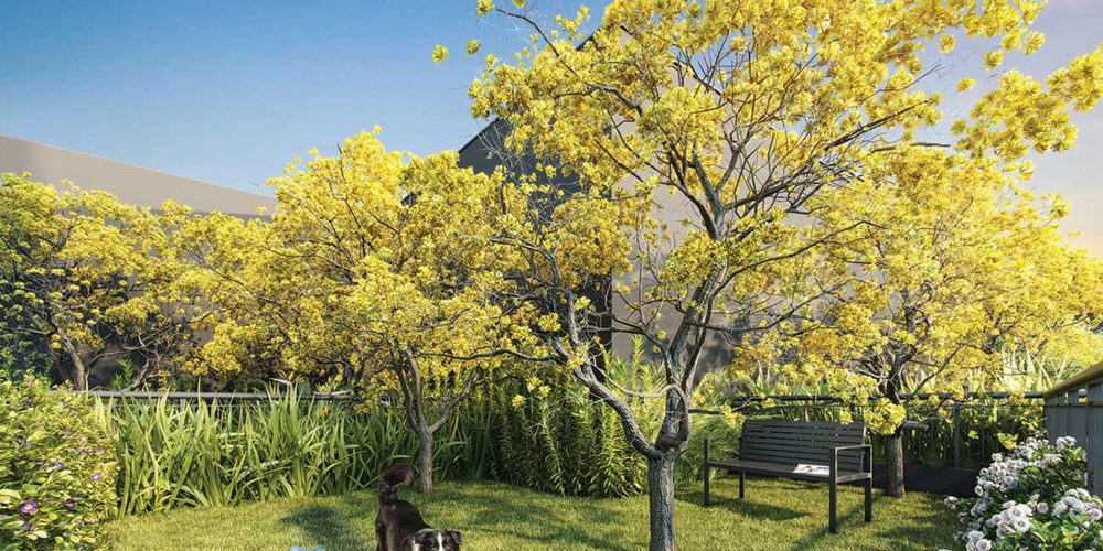 expression-ibirapuera-pet-place-big